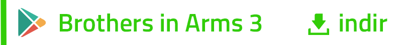 Brothers in Arms 3