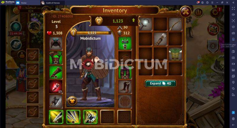 Guild of Heroes Envanter