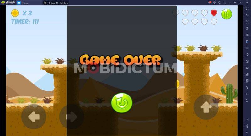 9 Lives The Cat Goes Home Game Over