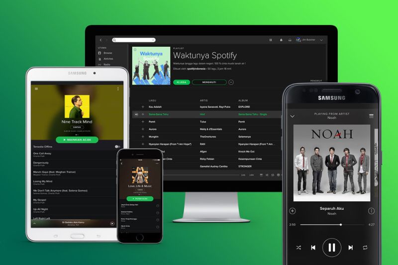 Spotify hatası