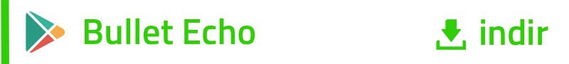 Bullet Echo PC