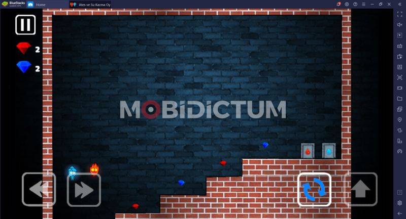 bilgisayardan Ateş ve Su oyna