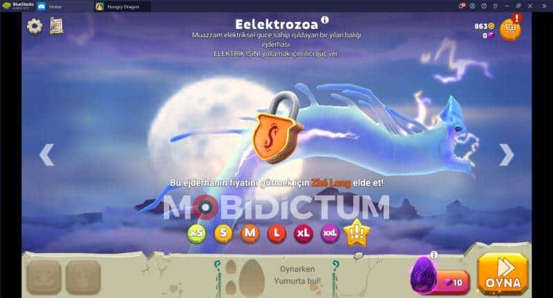 Hungry Dragon Ejderhalar