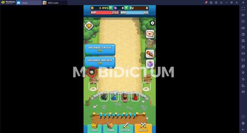 Wild Castle Özellik Yükseltme