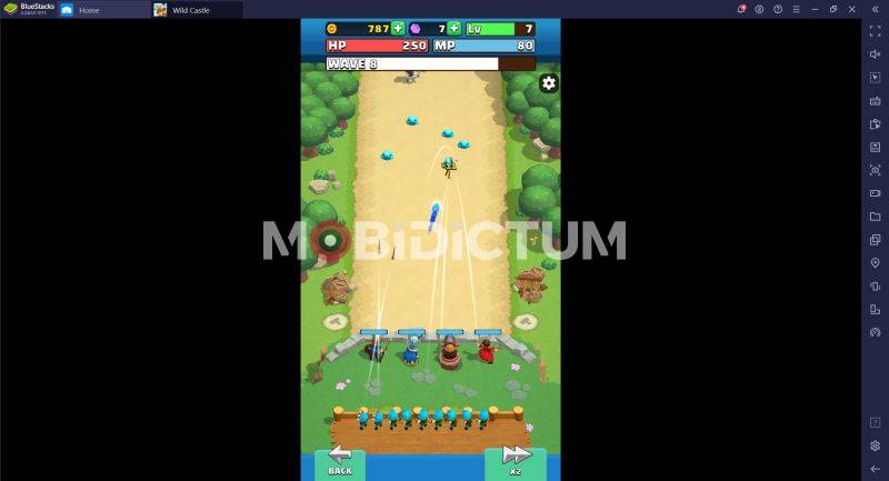 Wild Castle Saldırı Yapma