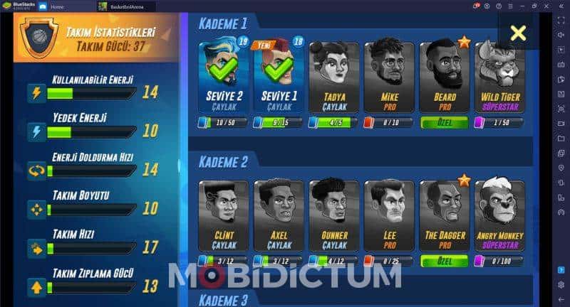 Basketbol Arena Takım