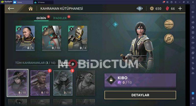 Shadow Fight Arena Kahramanlar