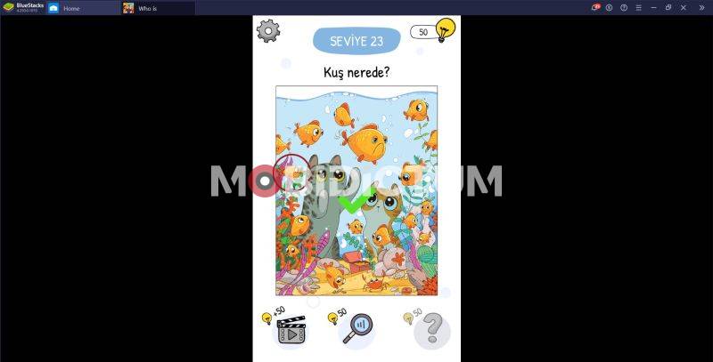 Who is bilgisayardan nasıl oynanır