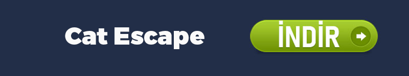Cat Escape indir