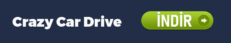 Crazy Car Drive indir