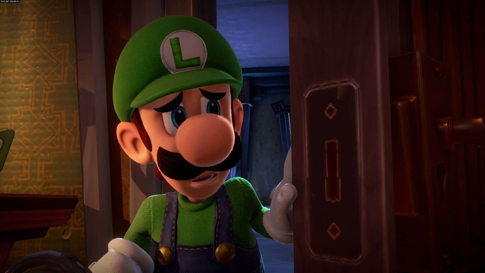 Luigi, Luigi's Mansion serisiyle kendine ait bir kitle oluşturdu.