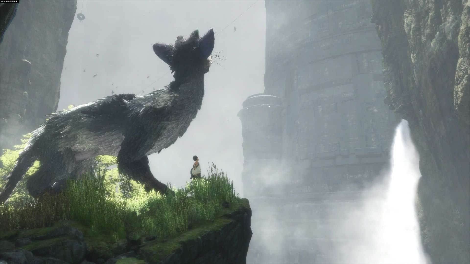 The Last Guardian, Trico.