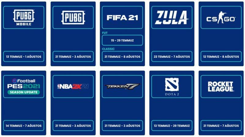 TESFED Bitexen Türkiye Kupası