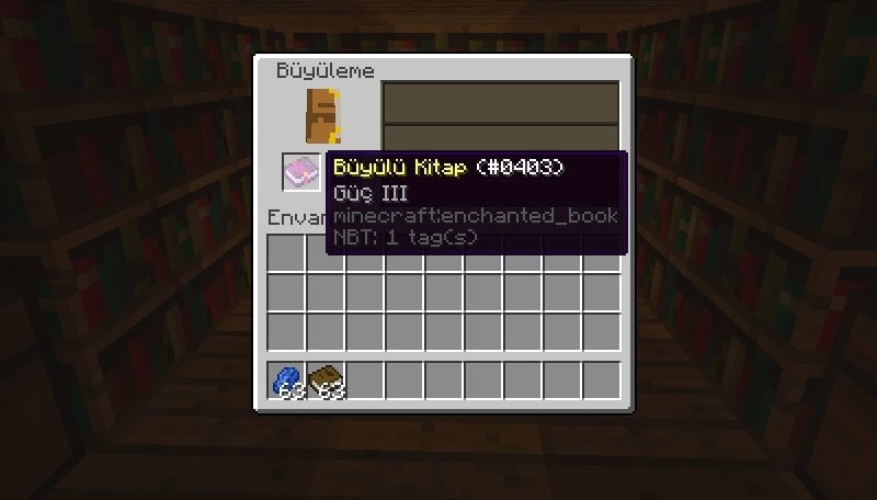Minecraft Kitap Yapımı