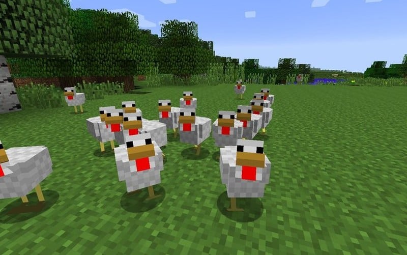 Minecraft Tavuk