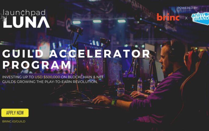 Guild Accelerator Program Animoca Brands