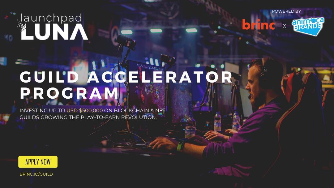 Guild Accelerator Program Animoca Brands