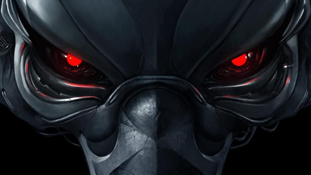 NFT börü koleksiyon