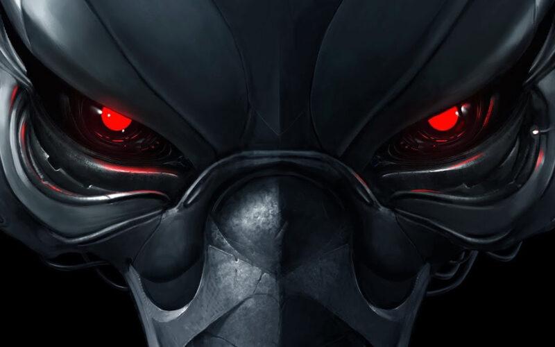 NFT börü koleksiyon