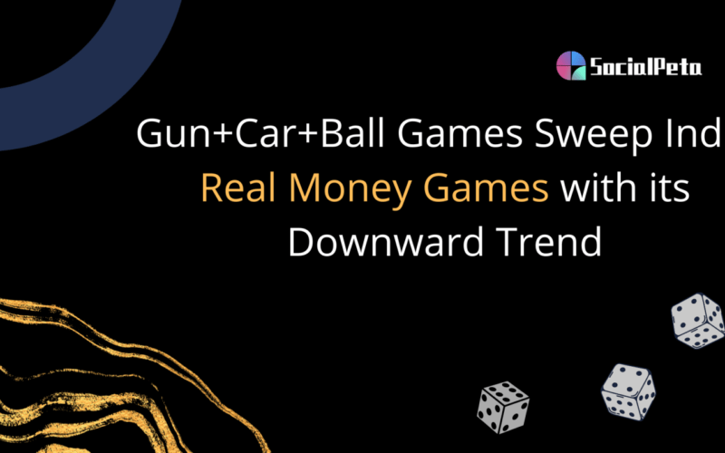 SocialPeta-India Report