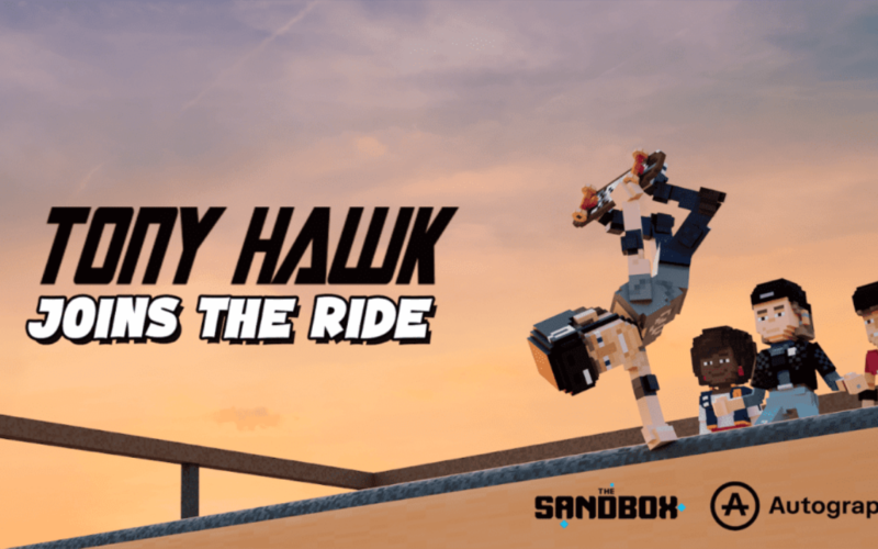 The Sandbox Tony Hawk banner