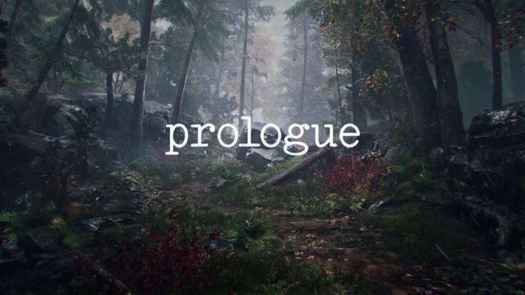 A rainy forest with the prologue game logo on the front