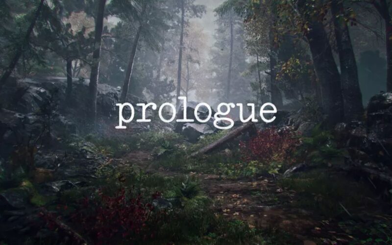 A rainy forest with the prologue game logo on the front