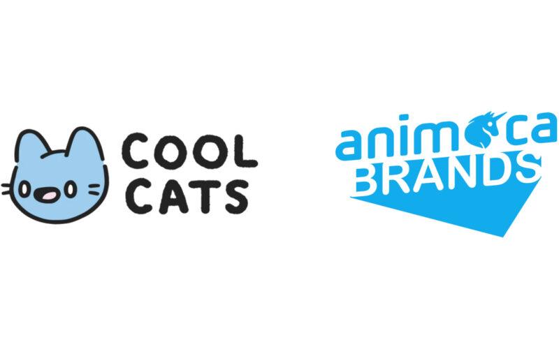 Cool Cats Group and Animoca Brands logo over a white background
