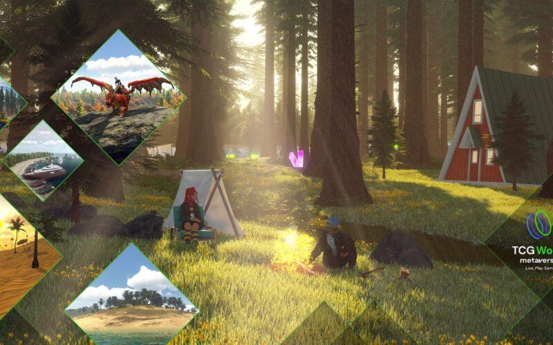 A man and a woman sitting on around a campfire in TCGworld