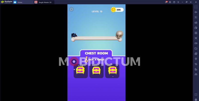 Tangle Master 3D Sandık