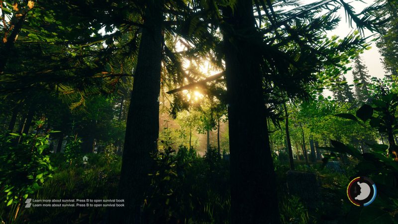 The Forest Geliştirici Konsolu Aktifleştirme