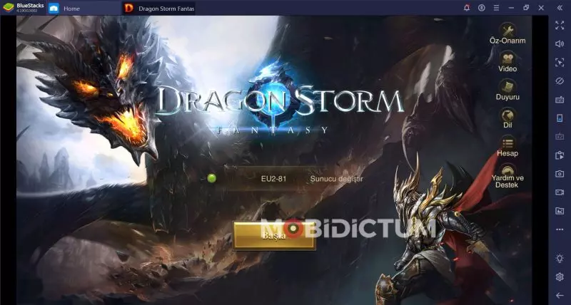 Dragon Storm Fantasy PC