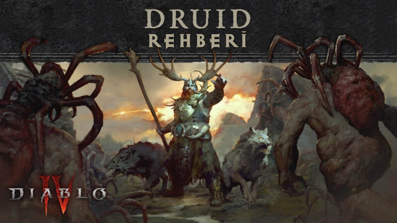 Diablo IV Druid rehberi