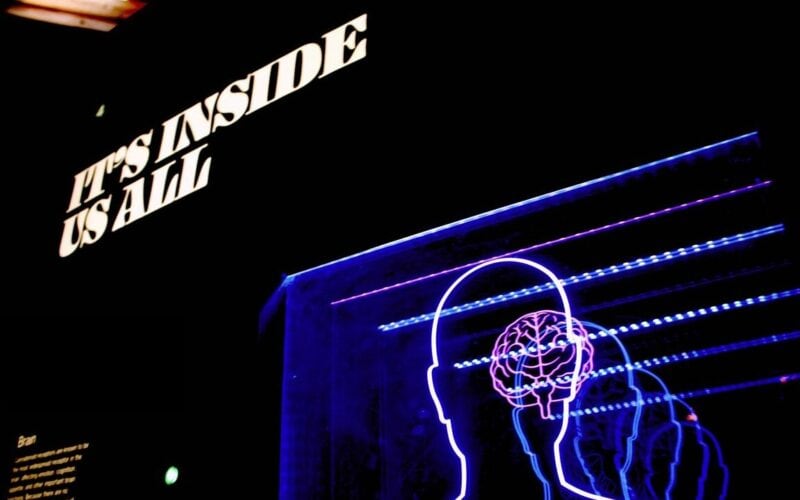 neon brain and the words it's inside us all