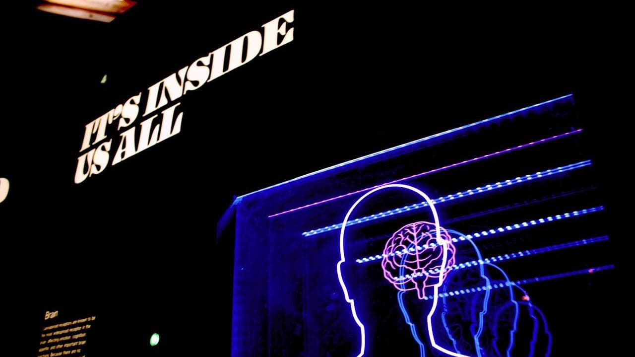 neon brain and the words it's inside us all