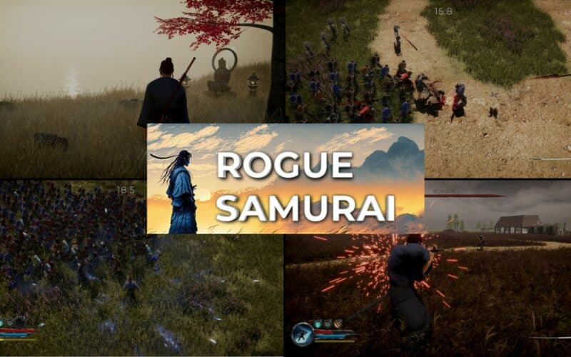 various in-game images and logo of rogue samurai
