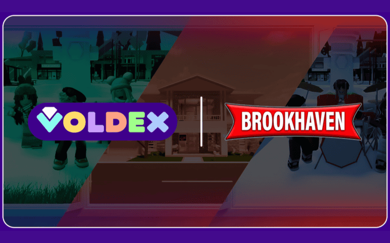 Voldex logo on the left, brookhaven logo on the right