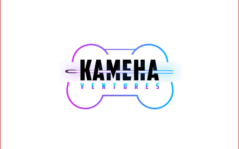 Kameha ventures logo