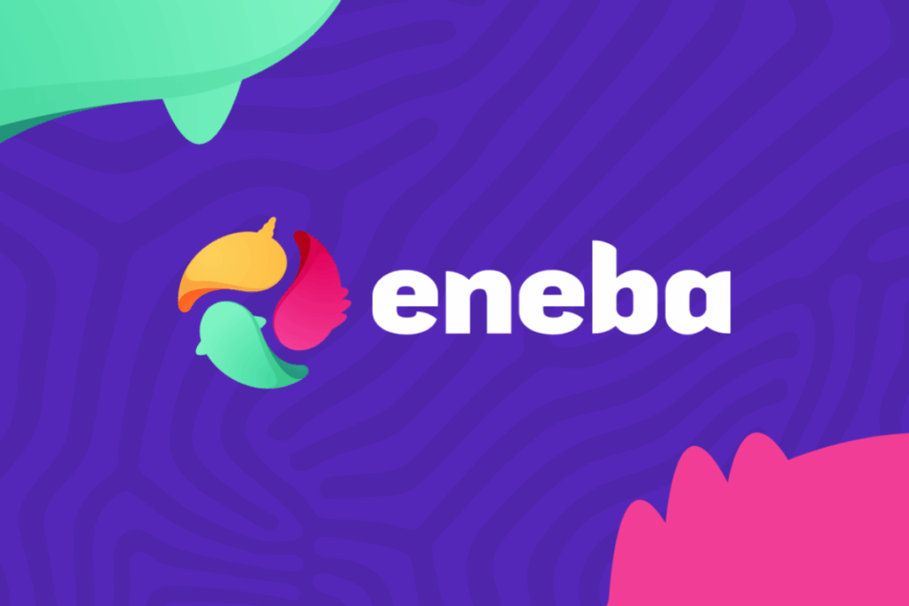 enaba logo